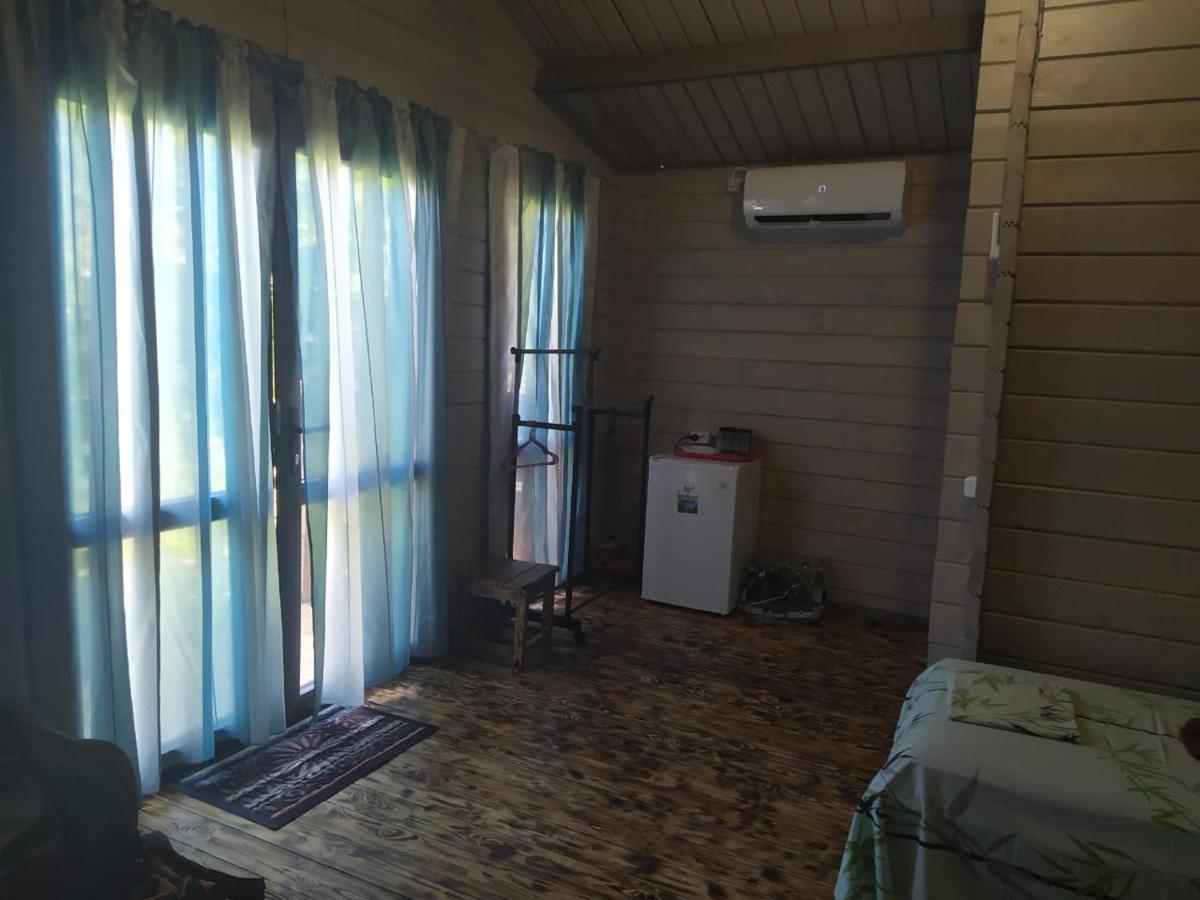 Guest House Lev Pizunda Exterior photo