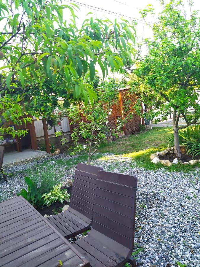 Guest House Lev Pizunda Exterior photo